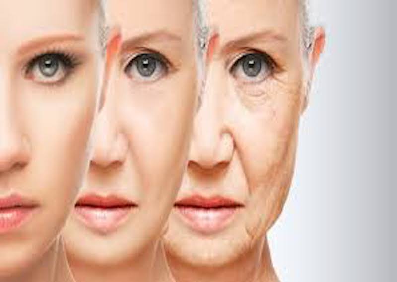 How Ayurveda Counteracts The Effects of Ageing